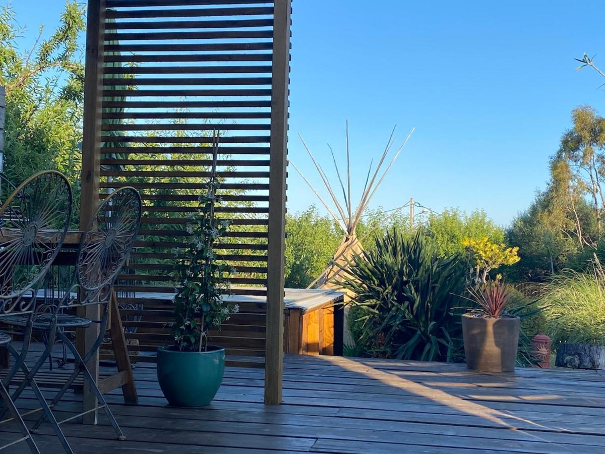 Tilley Lounge Cocoon Hotell Fitou Eksteriør bilde